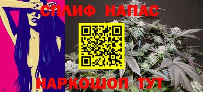гидропоника Можга