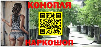 гидропоника Можга